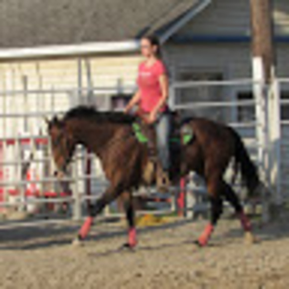 Meet your Posher, Lillie - Picture 1 of 1